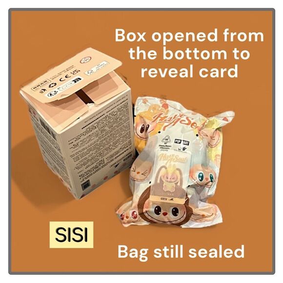 Labubu Have A Seat Vinyl Plush Face Blind Box - Sisi - Picture 3 of 16